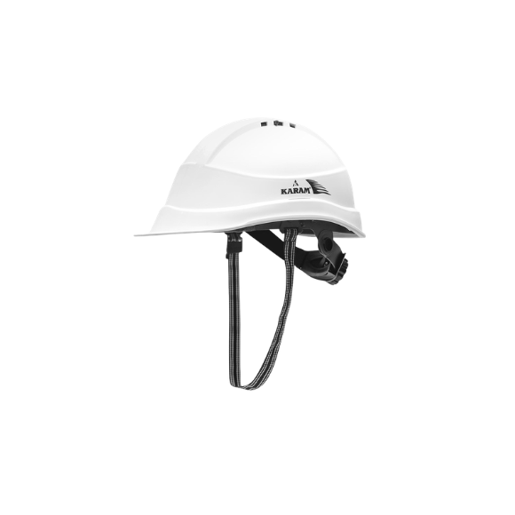 Karam PN 542